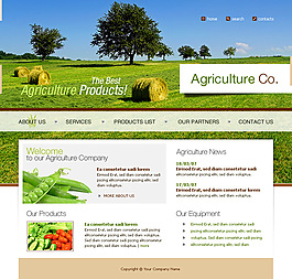 企業(yè)網(wǎng)站建設(shè)