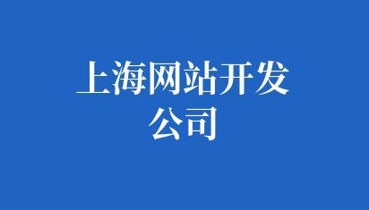 上海網(wǎng)站開發(fā)公司